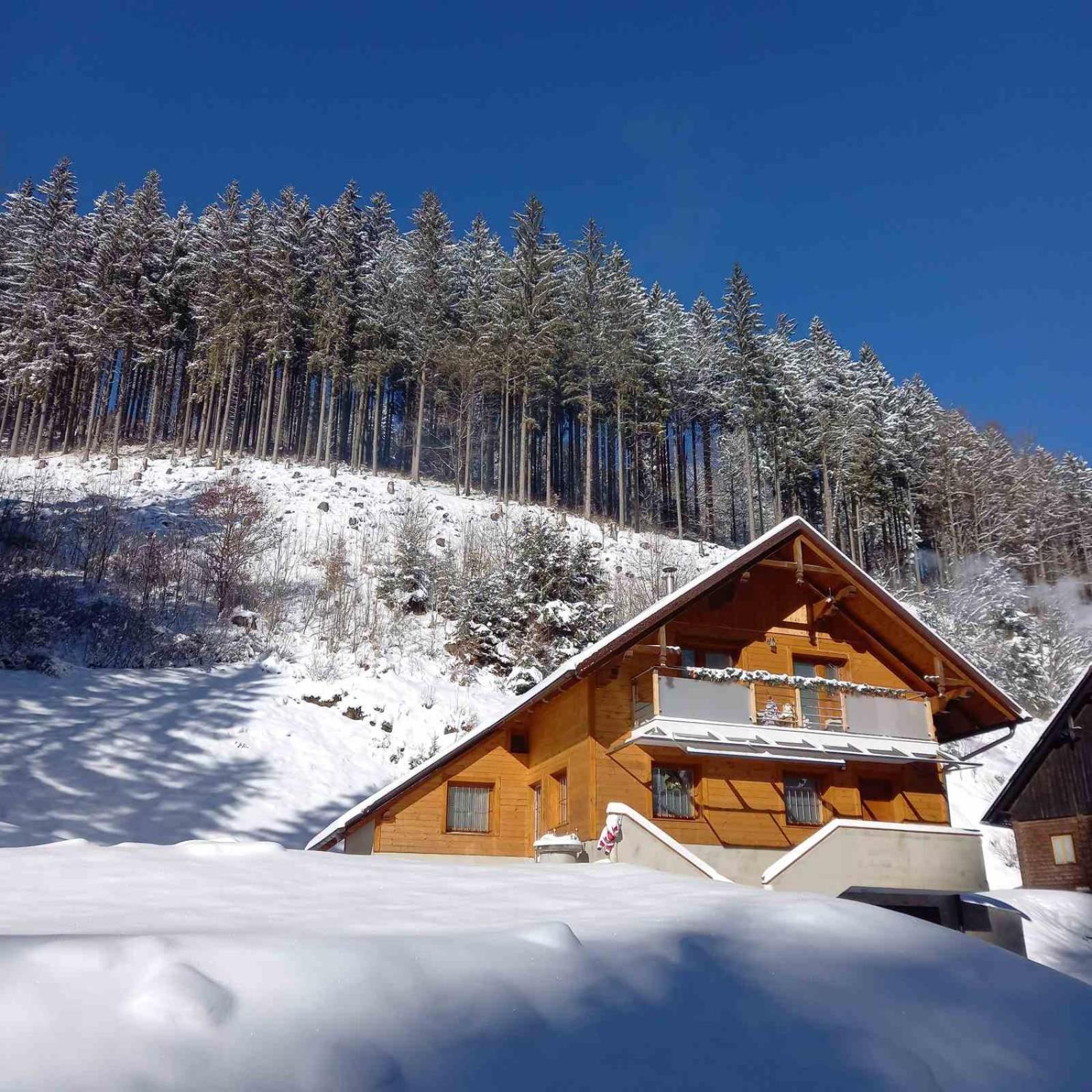 Hisa Lunna - In A Forest Paradise Apartment